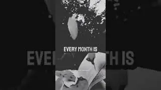 Life is a book #motivation #short #shorts #youtubeshorts