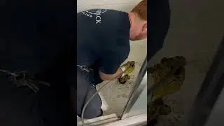 Plumber&rsquo;s Hilarious Fail: Tangled Cable Machine While Clearing Drain! #asmr  #shortsviral #shorts