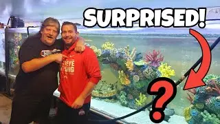 I Gave BigRich His DREAM FISH for BELLAGIO AQUARIUM!