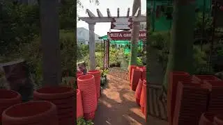 Nursery near me ( Rifa Green garden ) flower nursery Coimbatore