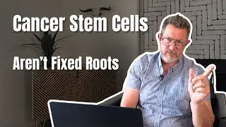 Cancer Stem Cells: From Fixed Roots to Shape-Shifters