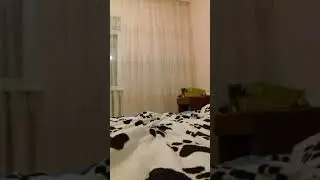 кастем форма дракона #рек