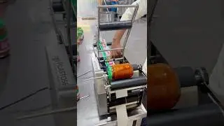 How to Start a Pickle Business in India | Best Bottle Packing Machines for Pickles #labelling