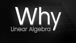 Why linear algebra shapes the backbone of data science