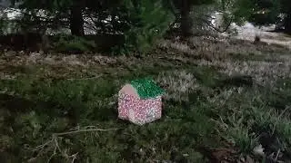 Tiny Fairy House at night