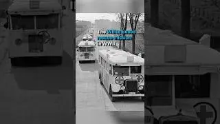 The White Buses rescue mission in WWII | DW Documentary
