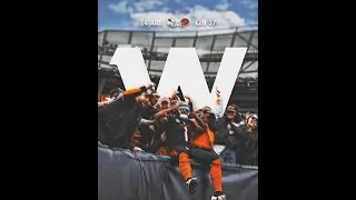 Cardinals-Bengals Recap