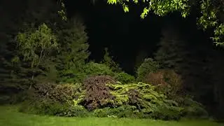 Kilimandżaro w deszczu