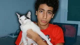 MjaD - ...حقيقة سعيد