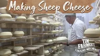 SHEEP CHEESE | How-To Make Sheep Cheese the Old Fashioned Way