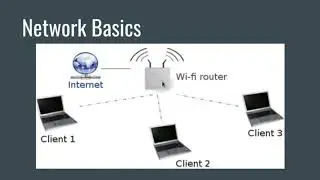 Network Basics for Beginners | What is a Network ?