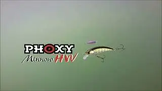 SAKURA Phoxy Minnow HW