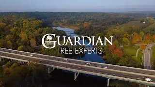 Guardian Tree Experts Introduction