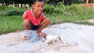 Khmer Cat Videos Baby Cats Compilation 2021#12