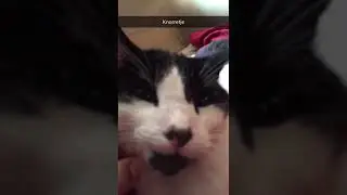 Knorretje