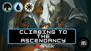 🌳 💧 ☀ Bant Falco | SNC Standard | Platinum 1 and 2