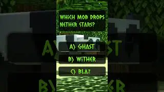 Minecraft Quiz 4 ⚔️ #minecraft #minecraftmemes #minecraftshorts #minecraftpe #minecraftquiz #shorts
