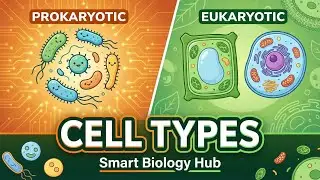 Types of Cells | Prokaryotic vs Eukaryotic | Smart Biology Hub