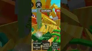 HUGEEE GOLD ROSY DELIGHT #growagarden#shorts#roblox
