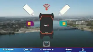 Liveu 300