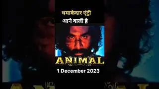 animal movie news update: release date, trailer, cast, story and more | #shorts  #movie