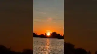 #shorts #sunset #botswana #chobe #wildlife