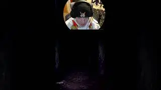 What Was That?! #furry #furrystreamer #livestream #indiegame #indiehorror #pyromaniac #horrorgaming