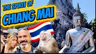Chiang Mai Spirit: Exploring the Zoo, Ancient Temples, Night Market & Jungle Waterfall