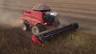 Colheitadeira Case 5130 e 7130 Safrinha 2025 #agriculture #agro #tractor #farming #colheita #farm