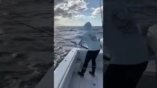 Contender Boats