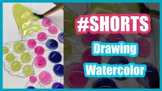 Satisfying Watercolor Drawing - Beautiful Butterfly #5 | SF Art | #Shorts #Art