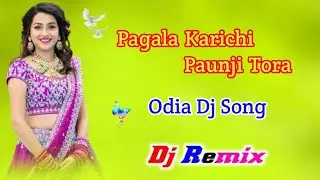 Pagala Karichi Paunji Tora | Odia Dj Song | Viral Dj Song | Use Headphone | Dj Song | Bibeka Music 