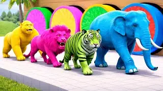 Long Slide Race Game with Elephant, Tiger, Lion & Gorilla | Funny 3D Animals