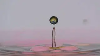 What Happens When a Drop Hits Water?