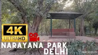 (4k) walk narayana delhi city park,india 4k video travel #1n4kvlog
