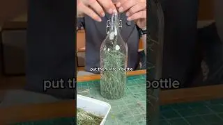 Превращаем дерево в газировку 🌲=🥤