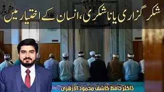 ٓAllah ka Shukr Ada kro |Dr Hafiz Kashif Mahmood Al-Azhari #fraud #business #corruption #milawat
