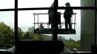 visitors