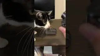 Testando uma Samsung ST77 nos dias de hoje