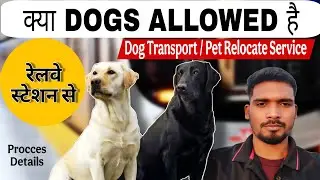 Kya dogs allowed hai Indian trains me | Dog Travel in Train India Guide | Pet Transport Service