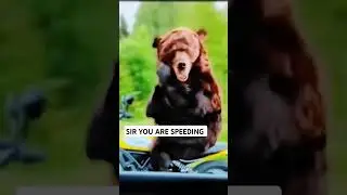 The Driver First Reaction To Traffic Police 🚔💯👀 #comedy #first #driver #reaction #trafficpolice