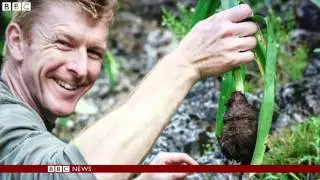 New ways to grow food in space