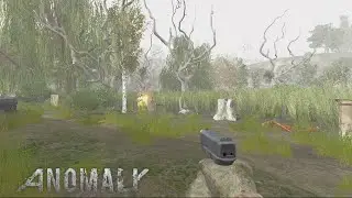 STALKER Anomaly #1 