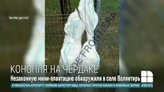 Любителю расслабиться из села Волинтирь района Штефан-Водэ грозит до шести лет тюрьмы
