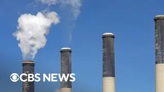 Trump plans to revoke EPA's authority to regulate carbon emissions