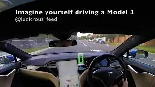 Tesla Model 3 - Imagine Yourself Driving One | Ludicrous Feed | Tesla Tom