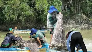Ngư dân chài cá trúng đậm kéo khom lưng chưa từng thấy từ trước đến nay.