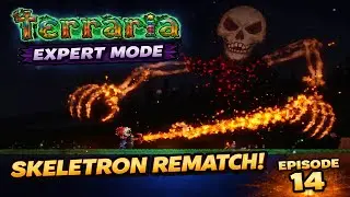 This Skeletron Fight Was INSANE | Terraria Expert Mode