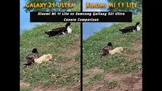 Xiaomi Mi 11 Lite vs Samsung Galaxy S21 Ultra Camera Test