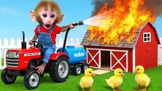 Monkey Nana drives a tractor and embarks on a Journey to rescue de duck farm after the storm